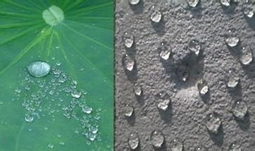 非固化防水涂料的特点有哪些